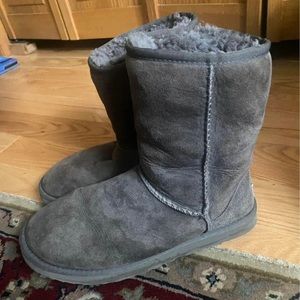 Grey Uggs